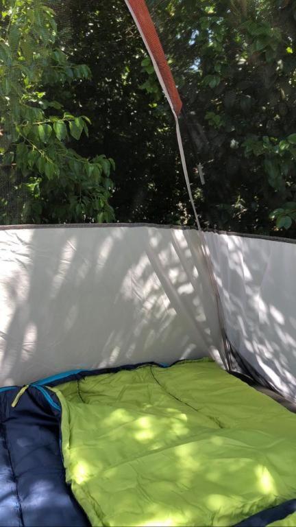 Wild Forest By The Human Happiness Project Thhpsociety - Himalayan View - For Adventure Souls Lodge