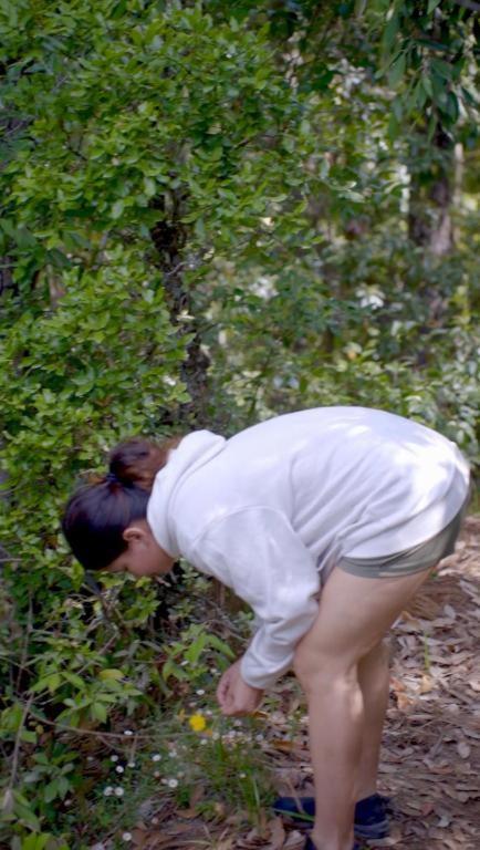 Wild Forest By The Human Happiness Project Thhpsociety - Himalayan View - For Adventure Souls