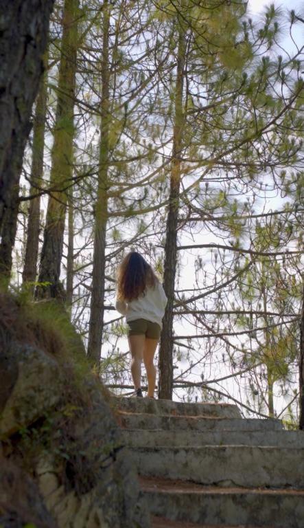 Wild Forest By The Human Happiness Project Thhpsociety - Himalayan View - For Adventure Souls Lodge