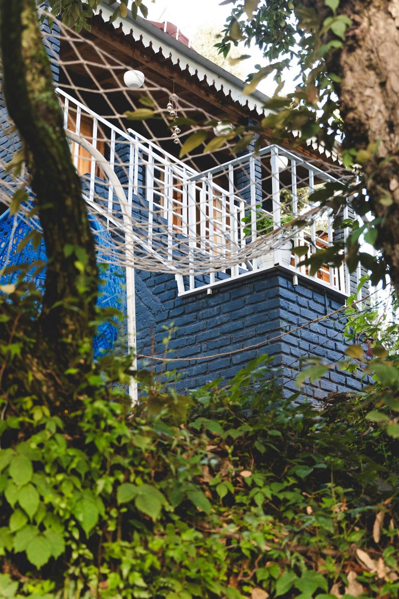 Wild Forest By The Human Happiness Project Thhpsociety - Himalayan View - For Adventure Souls *